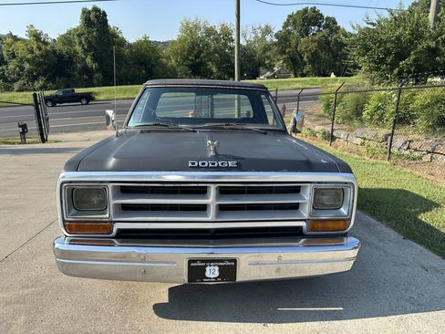 Used 1987 Dodge D/W Truck 100 RWD image 2