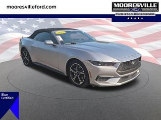 Certified 2025 Ford Mustang Premium RWD video 1