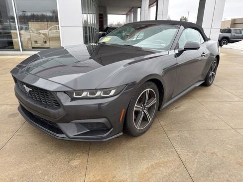 Used 2024 Ford Mustang Premium image 3