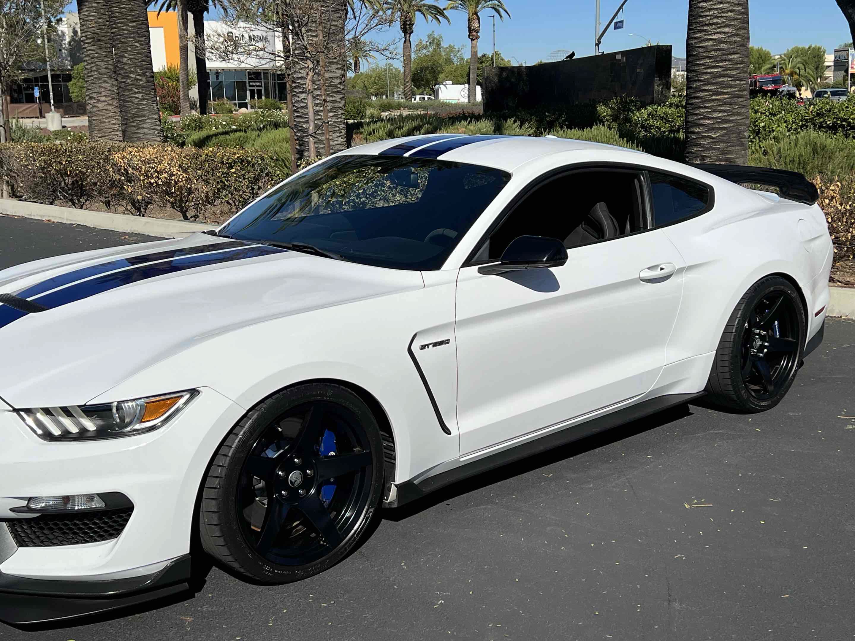 Used 2017 Ford Mustang Shelby GT350 RWD image 54