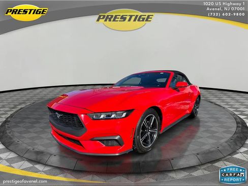 Used 2024 Ford Mustang Premium image 1