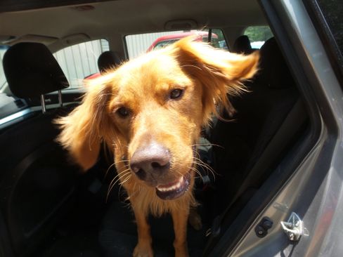 Used 2010 Subaru Outback 2.5i image 50