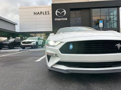 Used 2019 Ford Mustang GT Premium w/ Equipment Group 401A image 4