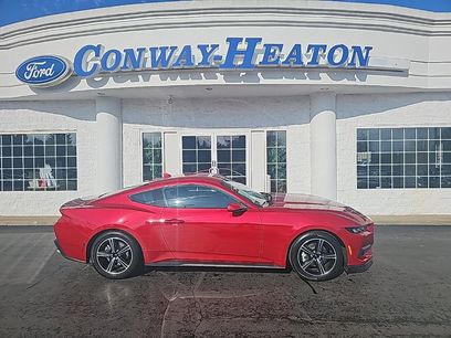 Used 2024 Ford Mustang Coupe