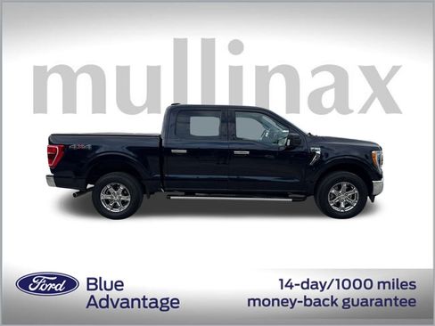 Used 2023 Ford F150 XLT w/ Equipment Group 302A High image 2