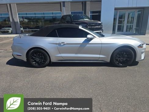 Used 2019 Ford Mustang Premium RWD image 5