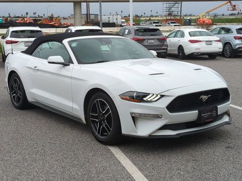 Used 2023 Ford Mustang Premium w/ Equipment Group 201A image 3