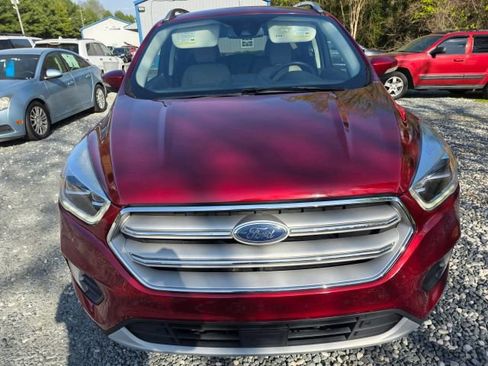 Used 2019 Ford Escape Titanium image 2