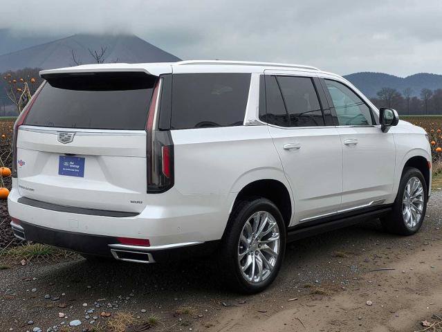 Used 2023 Cadillac Escalade Premium Luxury Platinum w/ LPO, Radiant Package AWD/4WD image 6