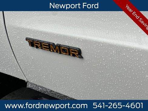 New 2025 Ford Expedition Tremor image 28