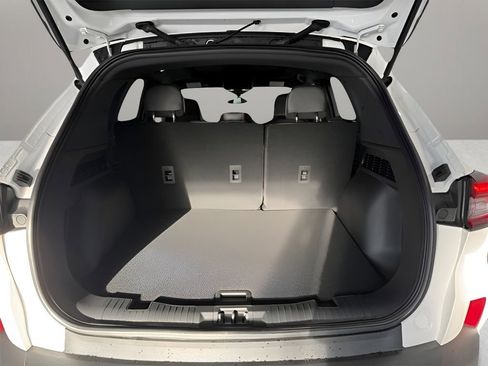 New 2026 Ford Escape ST-Line w/ Tech Pack #1 image 7