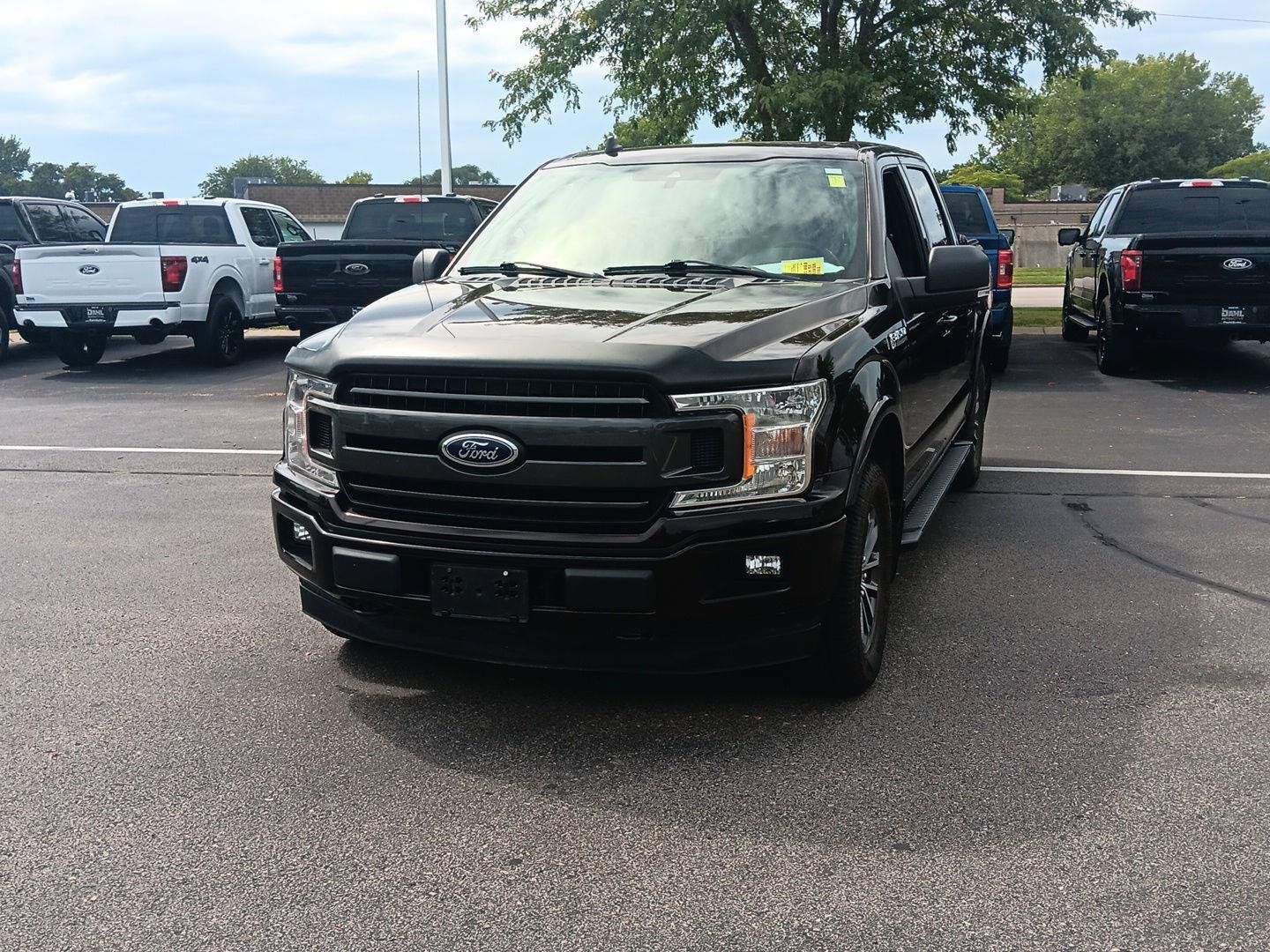 Used 2019 Ford F150 XLT w/ Equipment Group 302A Luxury AWD/4WD image 12