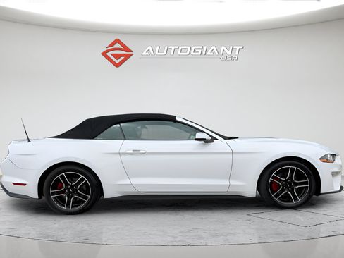 Used 2019 Ford Mustang Premium RWD image 12