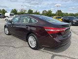 Used 2013 Toyota Avalon XLE Premium image 5