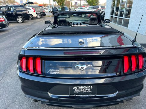 Used 2023 Ford Mustang Premium image 13
