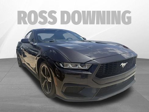 Used 2024 Ford Mustang Coupe RWD image 3