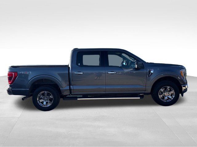Used 2023 Ford F150 XLT w/ Equipment Group 302A High AWD/4WD image 6