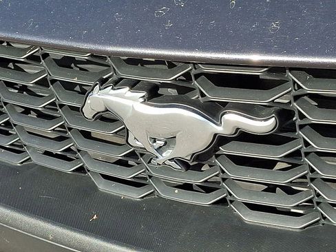 Used 2024 Ford Mustang Premium image 31