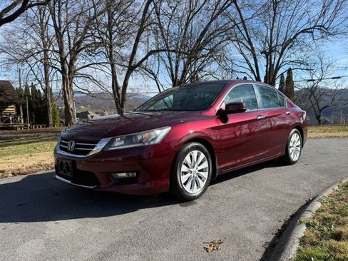 Used 2015 Honda Accord EX-L image 5