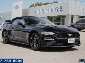 Used 2018 Ford Mustang Premium image 1