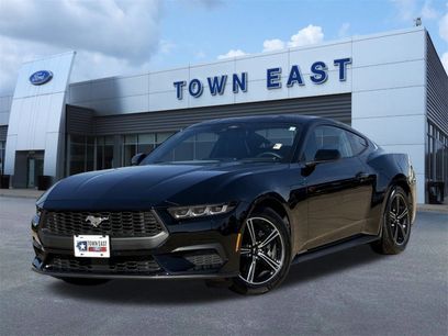 Certified 2025 Ford Mustang Ecoboost