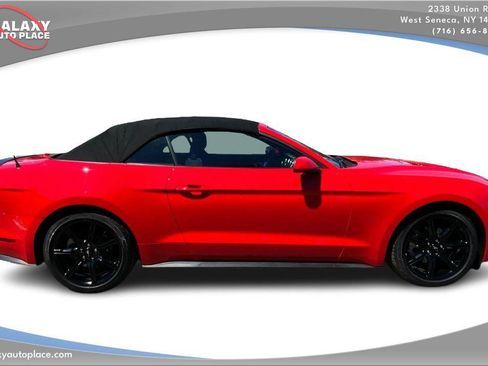 Used 2019 Ford Mustang Convertible w/ Equipment Group 101A RWD image 4