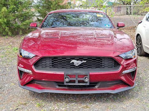 Used 2019 Ford Mustang Coupe w/ Equipment Group 101A image 2