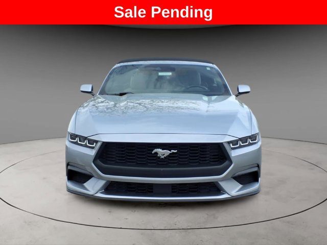 Used 2024 Ford Mustang Convertible RWD image 14