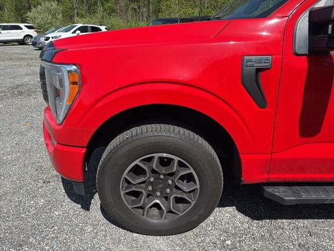 Used 2023 Ford F150 XLT w/ Equipment Group 302A High AWD/4WD image 6