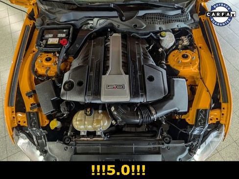 Used 2019 Ford Mustang GT w/ Equipment Group 301A image 23