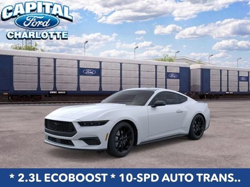 New 2026 Ford Mustang Coupe w/ Mustang Nite Pony Package RWD image 1