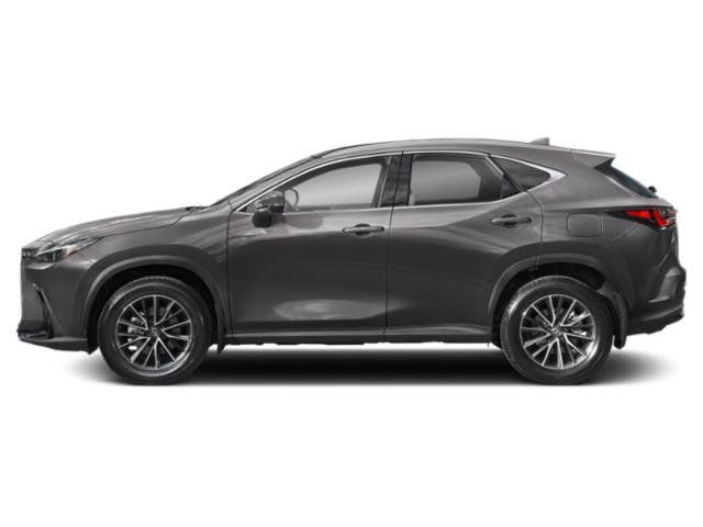 Certified 2024 Lexus NX 350h AWD w/ Vision Package image 3