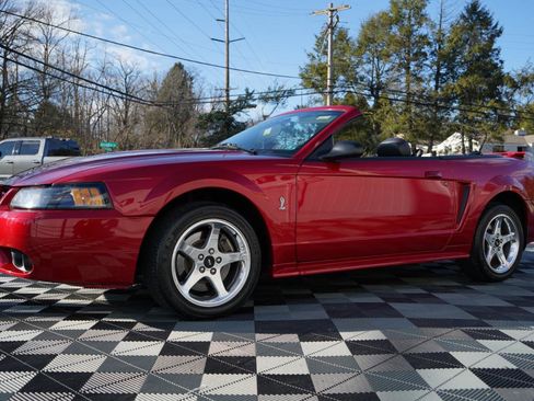Used 2001 Ford Mustang Cobra image 13