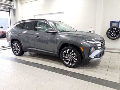 New 2026 Hyundai Tucson Limited w/ Tow & Go Package