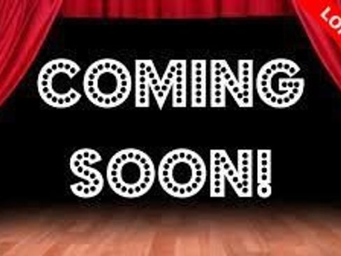 Used 2019 Chevrolet Silverado 1500 W/T w/ WT Fleet Convenience Package image 12