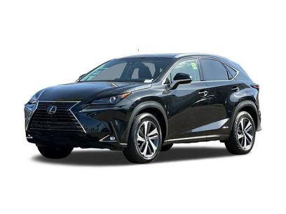 Used 2019 Lexus NX 300h AWD w/ Premium Package