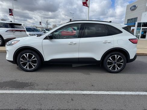 Certified 2022 Ford Escape SEL w/ SEL Stealth AWD Package image 5