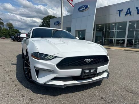 Used 2018 Ford Mustang Coupe w/ Equipment Group 101A RWD image 5