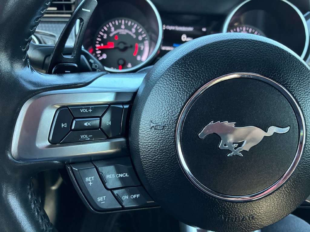 Used 2019 Ford Mustang Premium w/ Ecoboost Performance Package RWD image 11