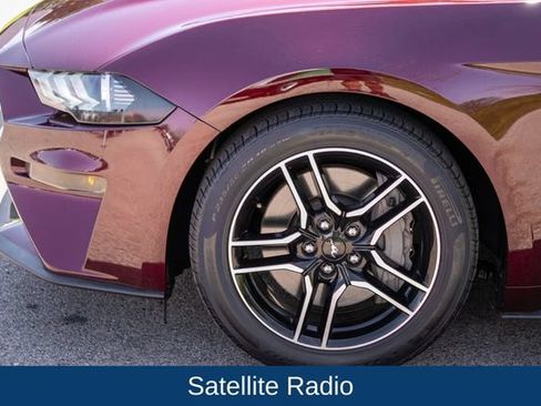 Used 2018 Ford Mustang GT w/ Equipment Group 301A RWD image 9