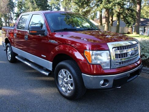 Used 2013 Ford F150 XLT w/ Luxury Equipment Group image 2
