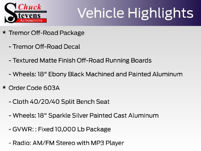 New 2027 Ford F250 XLT w/ Tremor Off-Road Package AWD/4WD image 14