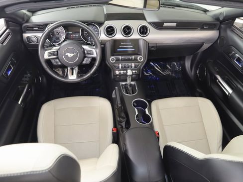 Used 2019 Ford Mustang GT Premium w/ Black Accent Package image 45