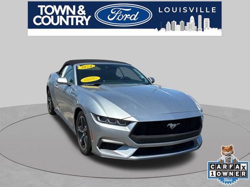 Used 2024 Ford Mustang Premium RWD image 1