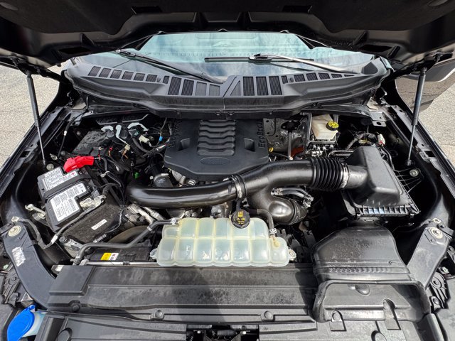 Used 2023 Ford F150 XLT AWD/4WD image 14