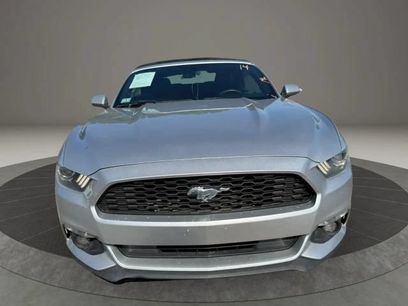 Used 2015 Ford Mustang Convertible w/ Equipment Group 051A