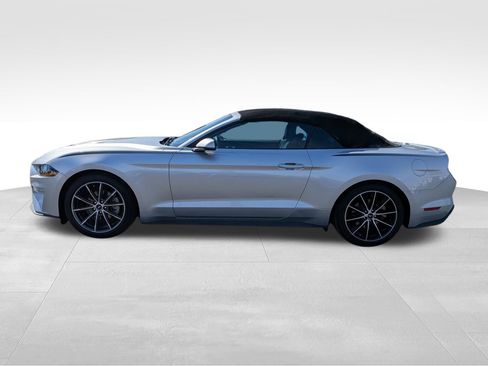 Used 2019 Ford Mustang Premium w/ Equipment Group 201A image 9