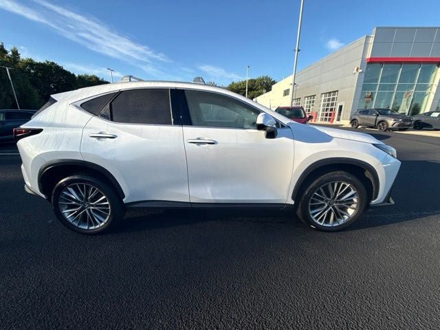 Used 2025 Lexus NX 350h AWD w/ Accessory Package (2T) image 12
