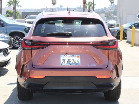 Certified 2025 Lexus NX 250 FWD w/ Accessory Package (2T) image 20