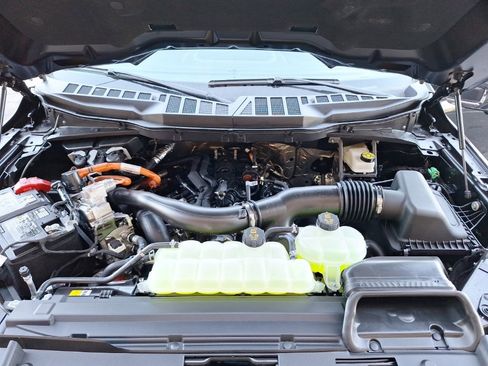 New 2025 Ford F150 XLT w/ Equipment Group 302A MID image 35